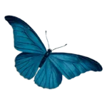 test3