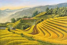 Bình Minh Trên Cánh Đồng